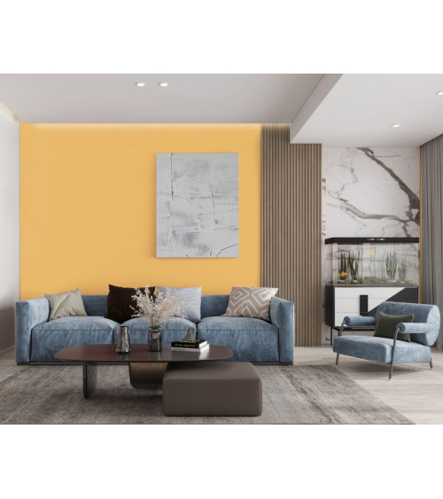 COLECCION ARMONIA COLOR PAPAYA, 4L