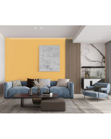 COLECCION ARMONIA COLOR PAPAYA, 4L