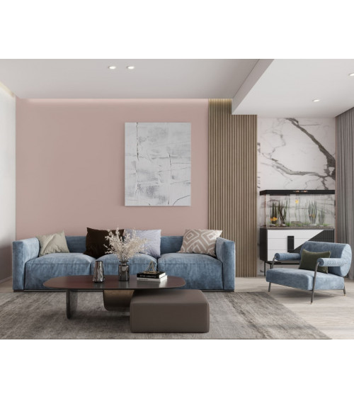 COLECCION ARMONIA COLOR BELLADONA 60%, 4L