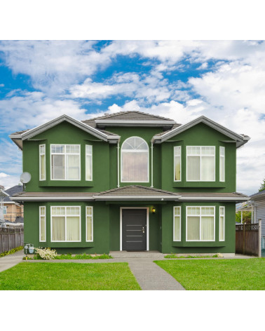 SUPERCARRARA LISO COLOR F 861 VERDE INTENSO, 4L